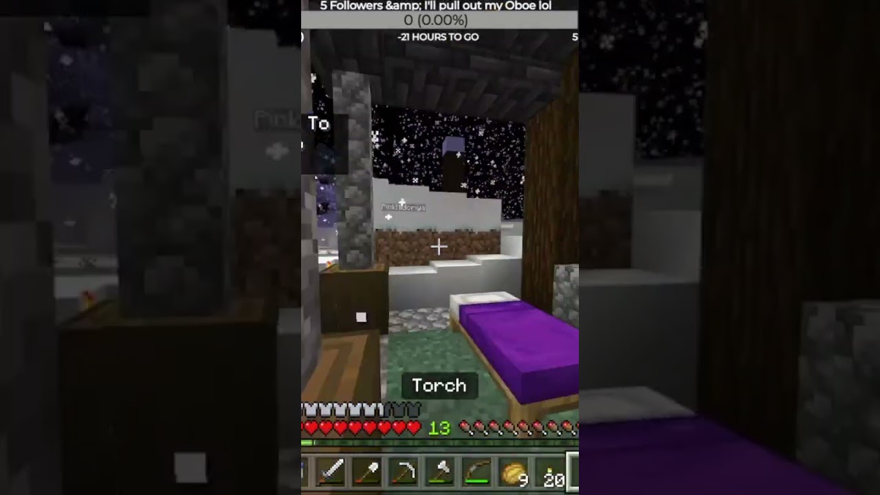 One of Many Snowball Fights!